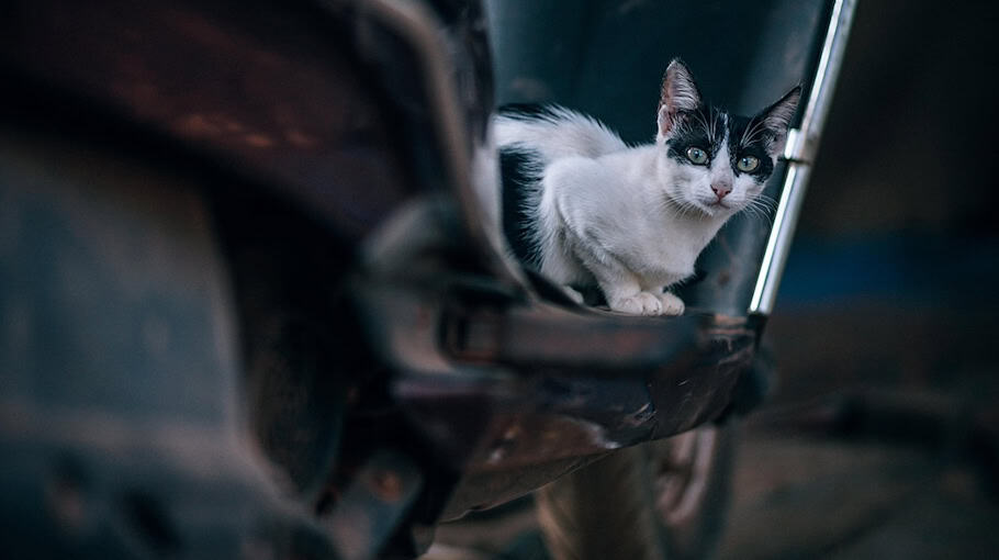 Motorroller brennt in Hoyerswerda – Brandstiftung wird untersucht