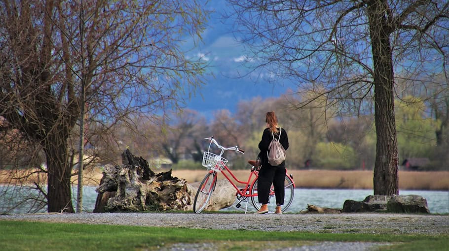 Diebstahl von Nebelscheinwerfern in Bad Muskau
