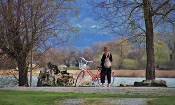 Diebstahl von Nebelscheinwerfern in Bad Muskau