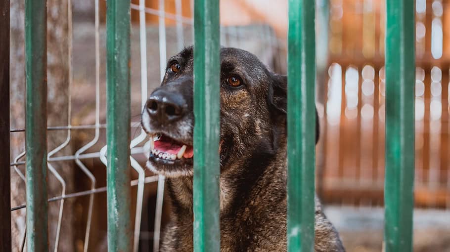 Vermisster aus Dresden-Strehlen wieder aufgefunden