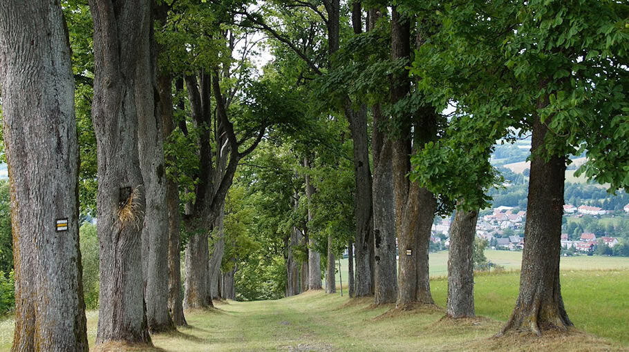 Brand in leerstehendem Gebäude in Taucha