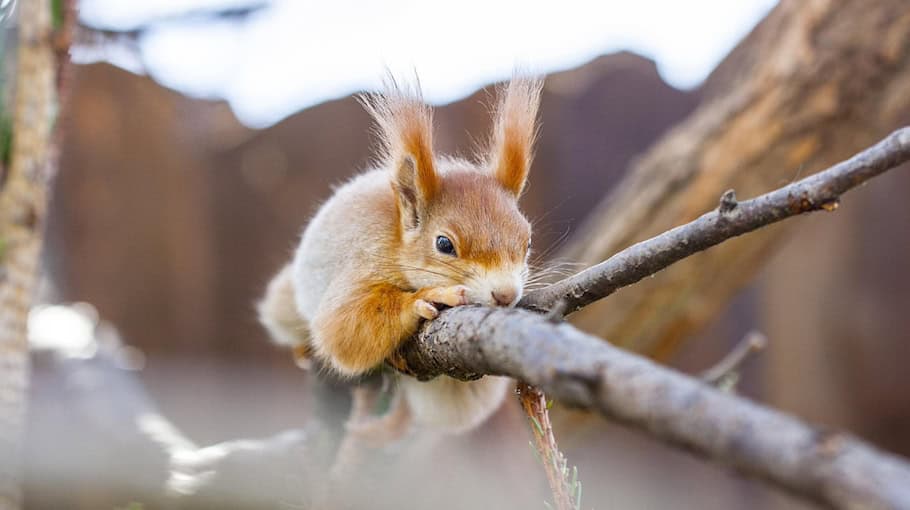 Vermisstenfahndung beendet: 56-Jähriger tot aufgefunden