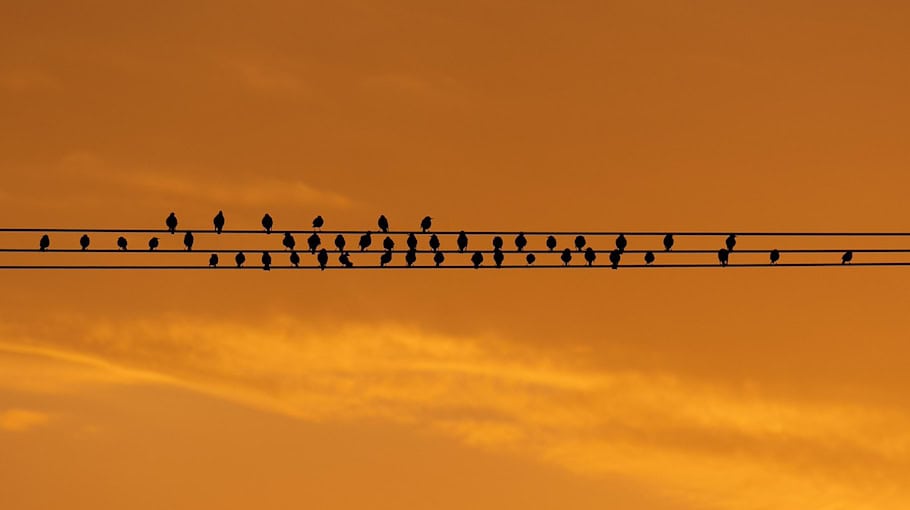 Kabeldiebstahl an Baustelle am Neustädter Markt