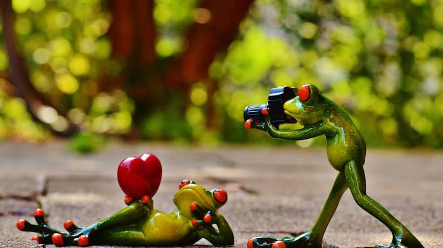 Kelleraufbruch in OT Kappel: Kameras und Handscanner gestohlen