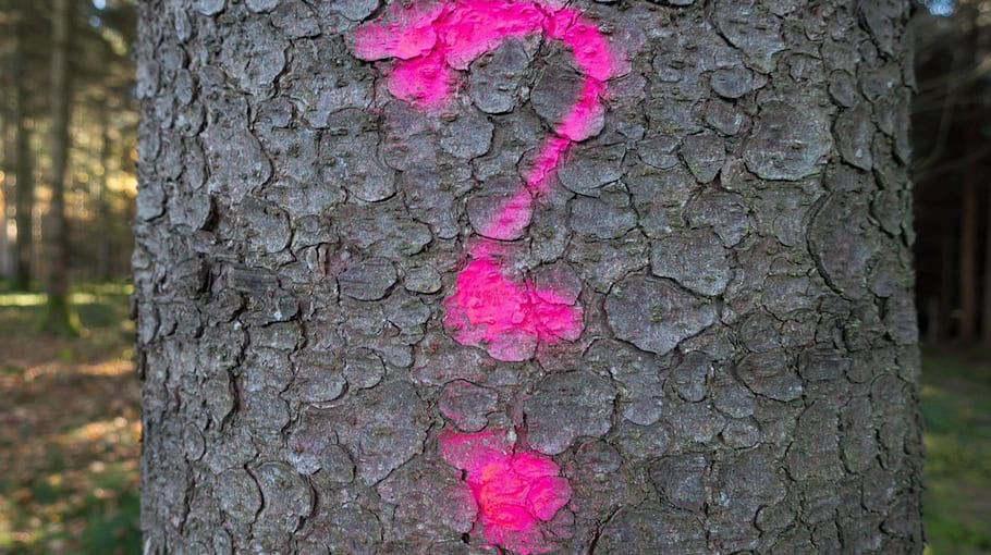 Graffitisprüher in Leipziger Vorstadt gestellt