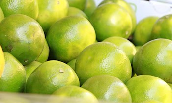 Fahrzeug- und Werkzeugdiebstahl in Niederau (OT Gröbern)