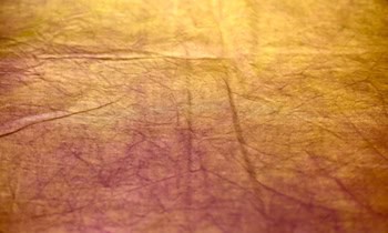 Lackbeschädigung an Dacia Sandero in Meißen