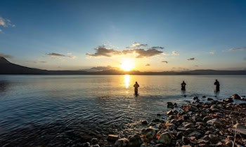 39-Jährige in Weinböhla Opfer von Phishing-Betrug