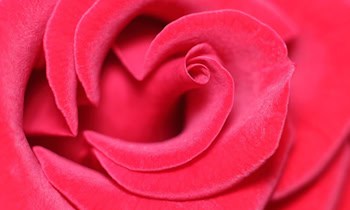 Anlagebetrug durch falschen Online-Broker