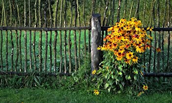 Diebesgut in Radebeul sichergestellt