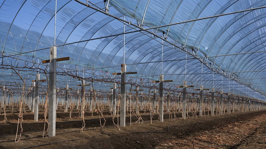 Brand im Gewächshaus in Riesa