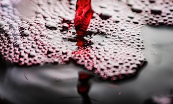 Alkohol am Steuer in Wölkau: 62-Jähriger kontrolliert