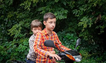 Gefälschter Führerschein in Neugersdorf entdeckt