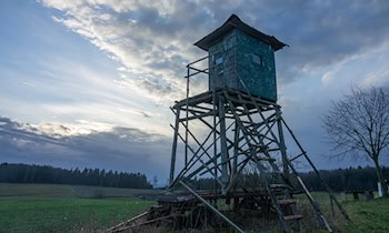 Vandalismus an Hochsitz in Dresden-Trachau