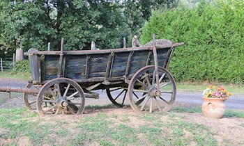 Pferdekutschenunfall in Panschwitz-Kuckau