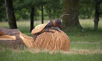 Einbruch in Nebengelass: Werkzeuge gestohlen