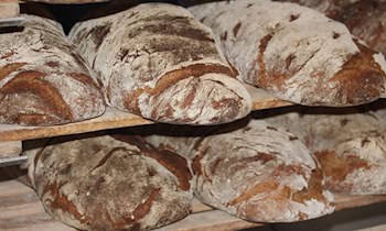 Bäckerei in Plagwitz überfallen – Zeugen gesucht