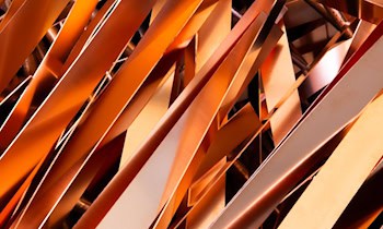 Mutmaßlicher Buntmetalldieb in Gartenlaube gestellt