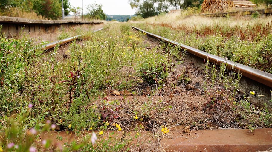 Autofahrer unter Alkoholeinfluss auf Gleisen festgefahren