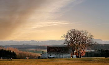 Scheunenbrand in Zwenkau-Zitzschen: Frau wegen Rauchgasvergiftung ins Krankenhaus