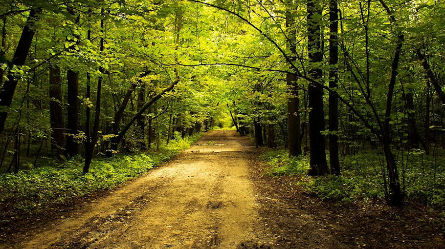 Sexualdelikt im Stadtpark: Zeugen gesucht