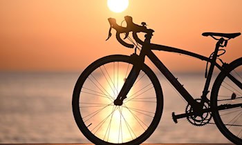 Zeugenaufruf: Gestohlenes Canyon Rennrad in Zwickau