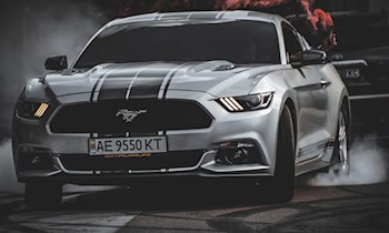 Betrunkener Fahranfänger führt Driftübungen durch