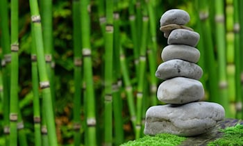 Einbrüche in Kleingartenanlage An den Brüchen