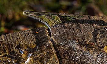 Eisplatte beschädigt Frontscheibe auf S94 bei Bernsdorf