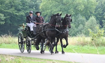 Busfahrer an Haltestelle gestoßen und geschlagen