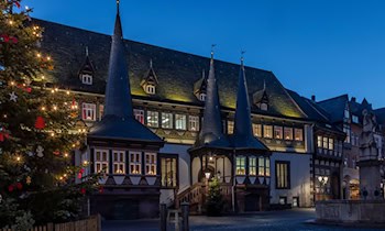 Mann sägt Weihnachtsbaum am Obermarkt an