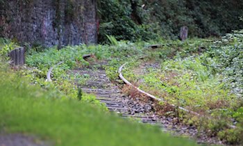 Autofahrerin fährt ins Gleisbett der Straßenbahn in Reusa