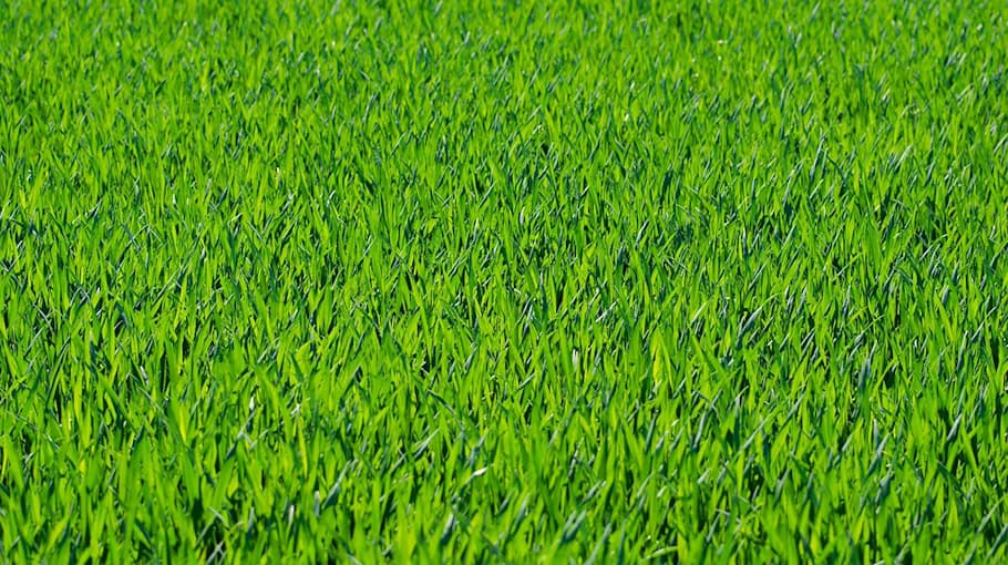 Raser mit 150 km/h über rote Ampel auf B184