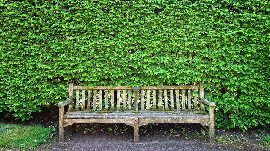 Heckenbrand in Zwickau-Auerbach