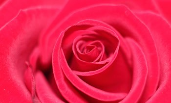 Anlagebetrug in Görlitz: 180.000 Euro verloren