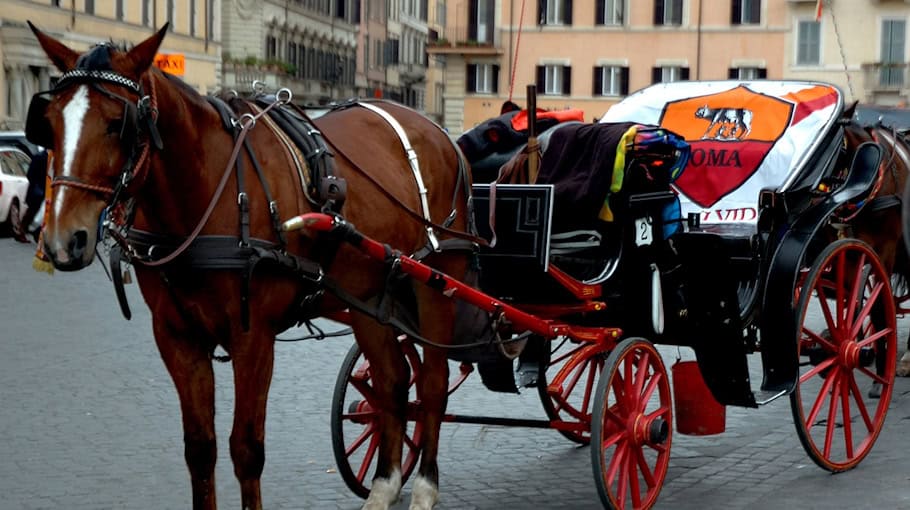 Rollstuhlfahrer bei Straßenbahn-Unfall verletzt