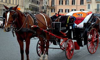 Rollstuhlfahrer bei Straßenbahn-Unfall verletzt