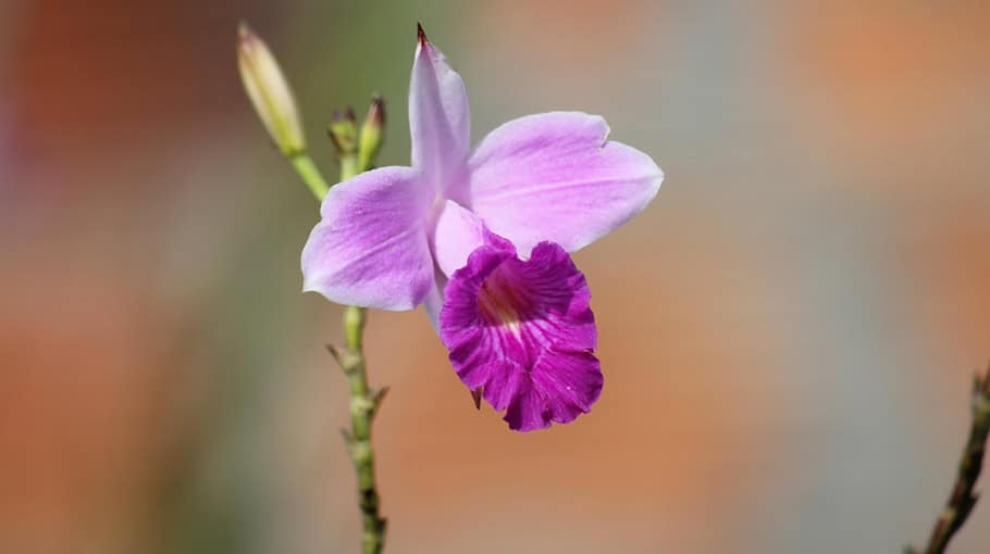 Viele Unfälle bei winterlichen Straßenverhältnissen in Dresden