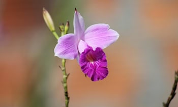 Viele Unfälle bei winterlichen Straßenverhältnissen in Dresden