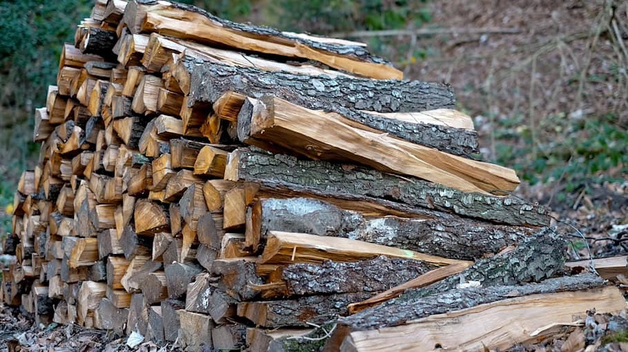 Holzdiebe am Werk in Oberleutersdorf