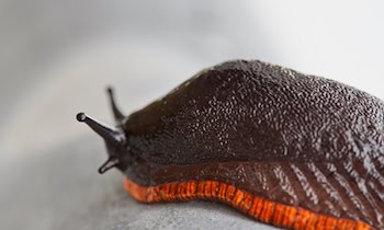 Zeugen gesucht nach körperlicher Auseinandersetzung in Plauen