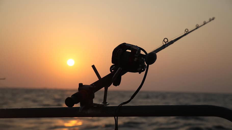 Phishing in Zittau: Frau verliert 14.900 Euro