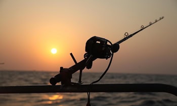 Phishing in Zittau: Frau verliert 14.900 Euro