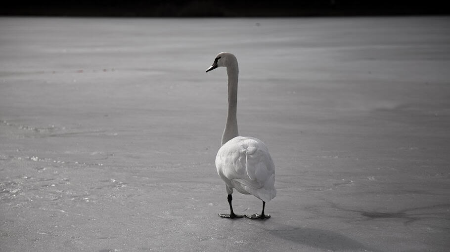 Eisplatten beschädigen Dacia Duster in Dresden-Hellerau