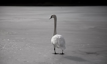 Eisplatten beschädigen Dacia Duster in Dresden-Hellerau