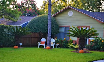 Lexus aus Tiefgarage in Dresden gestohlen
