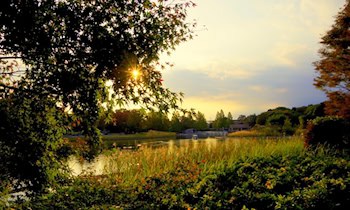 Serie von Diebstählen und Betrugsdelikten in Freiberg