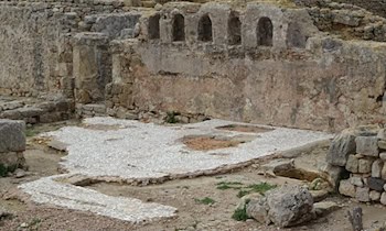 Unbekannter Toter in Dresdner Heide identifiziert