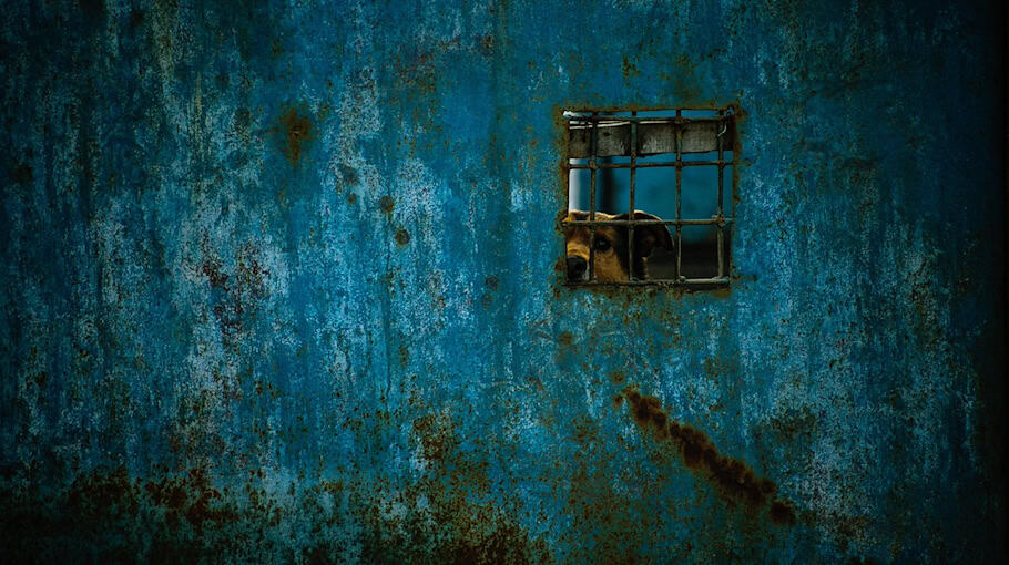 Raubüberfall auf der Alaunstraße in Dresden