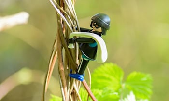 Unfallflucht in Auerbach: Roter Fiat Punto beschädigt